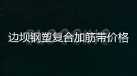 邊壩鋼塑復合加筋帶價格