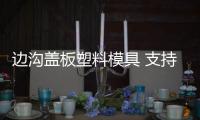 邊溝蓋板塑料模具 支持定做生產(chǎn)