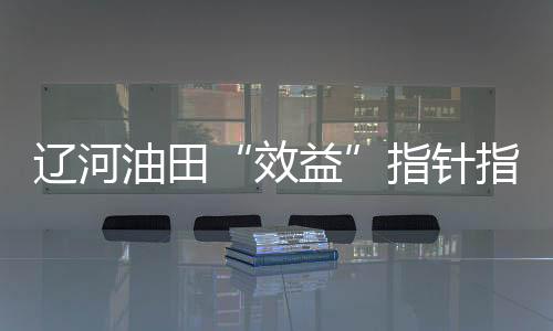 遼河油田“效益”指針指引油氣勘探