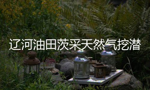 遼河油田茨采天然氣挖潛“深入淺出”