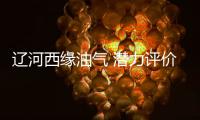 遼河西緣油氣 潛力評價項目落幕
