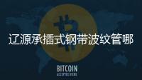 遼源承插式鋼帶波紋管哪家好