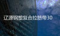 遼源鋼塑復(fù)合拉筋帶30020B指標(biāo)