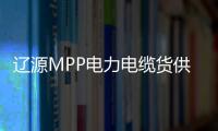 遼源MPP電力電纜貨供應、價格便宜