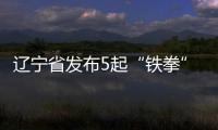 遼寧省發布5起“鐵拳”行動和特種設備專項執法典型案例