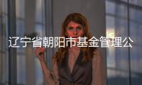 遼寧省朝陽市基金管理公司轉(zhuǎn)讓變更的流程