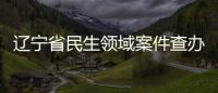 遼寧省民生領(lǐng)域案件查辦“鐵拳”行動第二批典型案例公布