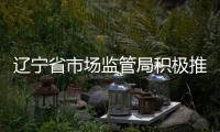 遼寧省市場(chǎng)監(jiān)管局積極推進(jìn)政務(wù)服務(wù)“跨省通辦”