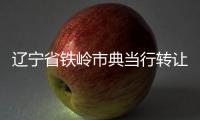 遼寧省鐵嶺市典當(dāng)行轉(zhuǎn)讓如何辦理