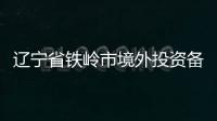 遼寧省鐵嶺市境外投資備案辦理部門是哪里