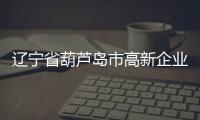 遼寧省葫蘆島市高新企業(yè)注冊(cè)外地人可以做嗎