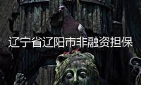 遼寧省遼陽市非融資擔保公司轉讓轉讓的流程