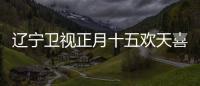 遼寧衛視正月十五歡天喜地再“鬧”元宵