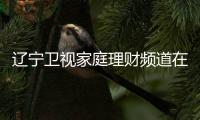 遼寧衛(wèi)視家庭理財頻道在線直播觀看（遼寧衛(wèi)視家庭理財頻道在線直播）