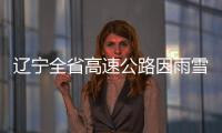 遼寧全省高速公路因雨雪天氣全部封閉