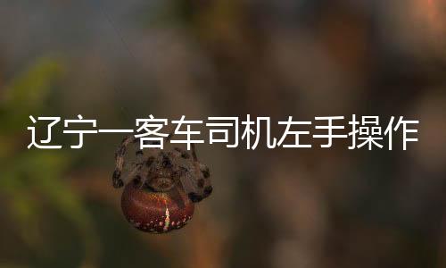 遼寧一客車司機左手操作方向盤右手居然在舉啞鈴 已被停職