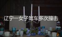 遼寧一女子駕車多次撞擊碾壓母親致死，已被提起公訴