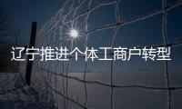 遼寧推進個體工商戶轉型升級 2018年完成“個轉企”11850戶