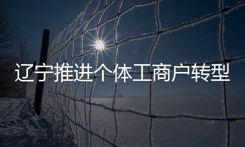遼寧推進個體工商戶轉(zhuǎn)型升級 2018年完成“個轉(zhuǎn)企”11850戶