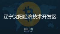遼寧沈陽經濟技術開發區推行“掌上”實時營商服務