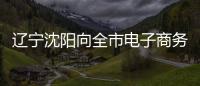 遼寧沈陽向全市電子商務(wù)經(jīng)營者發(fā)出依法經(jīng)營倡議