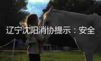 遼寧沈陽(yáng)消協(xié)提示：安全科學(xué)使用電熱暖手寶