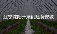 遼寧沈陽開展創(chuàng)建食安城督導檢查