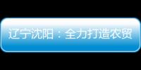 遼寧沈陽：全力打造農貿（集貿）市場購物新風景
