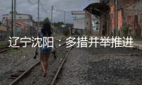 遼寧沈陽：多措并舉推進文明城市創建