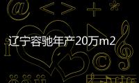 遼寧容馳年產(chǎn)20萬(wàn)m2特種玻璃通用生產(chǎn)線項(xiàng)目開工建設(shè),行業(yè)資訊