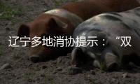 遼寧多地消協提示：“雙11”購物“眼不花心別亂手莫急”