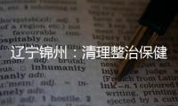 遼寧錦州：清理整治保健食品行業(yè) 167家企業(yè)完成整改