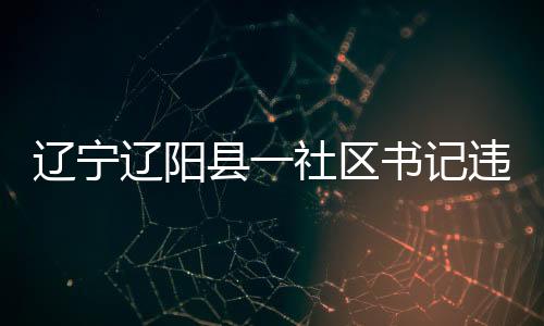 遼寧遼陽縣一社區(qū)書記違規(guī)挪用、侵占集體資金1.7億余元