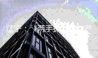 遼寧：“兩手抓”推動產業升級