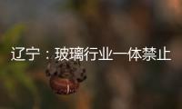 遼寧：玻璃行業一體禁止摻燒高硫石油焦,經驗交流