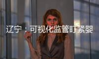 遼寧：可視化監管盯緊嬰幼兒“口糧”安全生產關鍵點位
