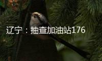 遼寧：抽查加油站1764家 處理不合格加油槍14把