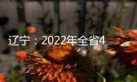 遼寧：2022年全省4497項(xiàng)抽查檢查任務(wù)實(shí)行統(tǒng)一平臺管理