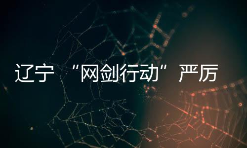 遼寧 “網(wǎng)劍行動(dòng)”嚴(yán)厲打擊“二選一”“掐尖并購(gòu)”