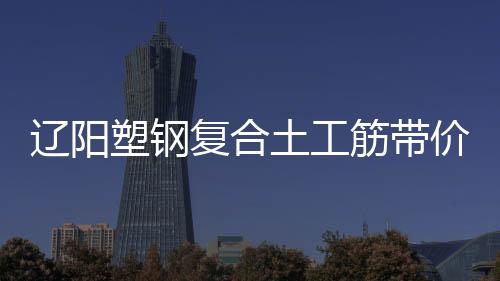 遼陽塑鋼復合土工筋帶價格