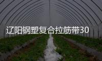 遼陽鋼塑復合拉筋帶30020B指標