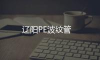 遼陽PE波紋管