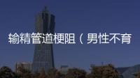 輸精管道梗阻（男性不育原因分析與治療方法）
