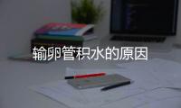 輸卵管積水的原因