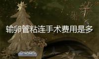 輸卵管粘連手術費用是多少