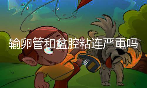 輸卵管和盆腔粘連嚴重嗎