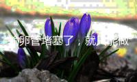 輸卵管堵塞了，就只能做試管嬰兒了嗎?