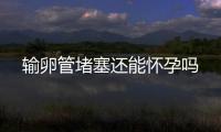 輸卵管堵塞還能懷孕嗎