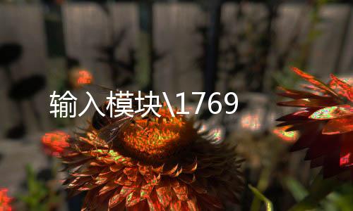 輸入模塊69