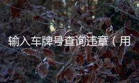 輸入車牌號查詢違章（用車牌號查詢違章）